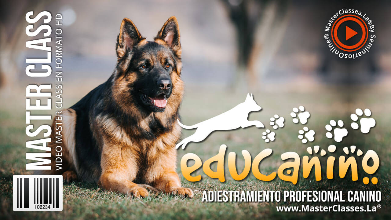 Educanino - Todo Sobre Adiestramiento Canino